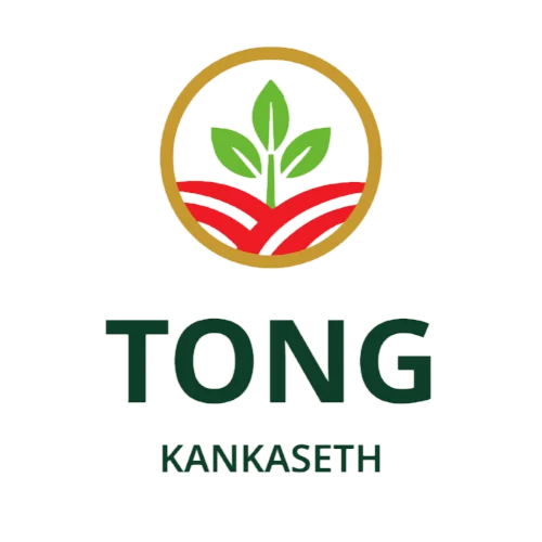 Tong Kankaseth